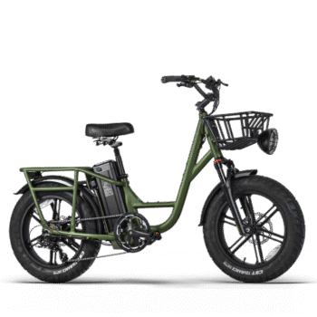 Fiido T2 Longtail Cargo E-bike