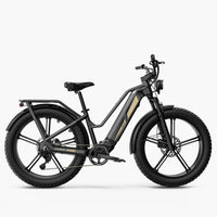 Titan Fat Tire Touring Ebike - Long Range